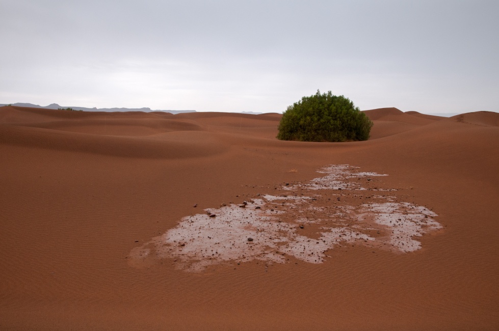 Deserto del Draa
